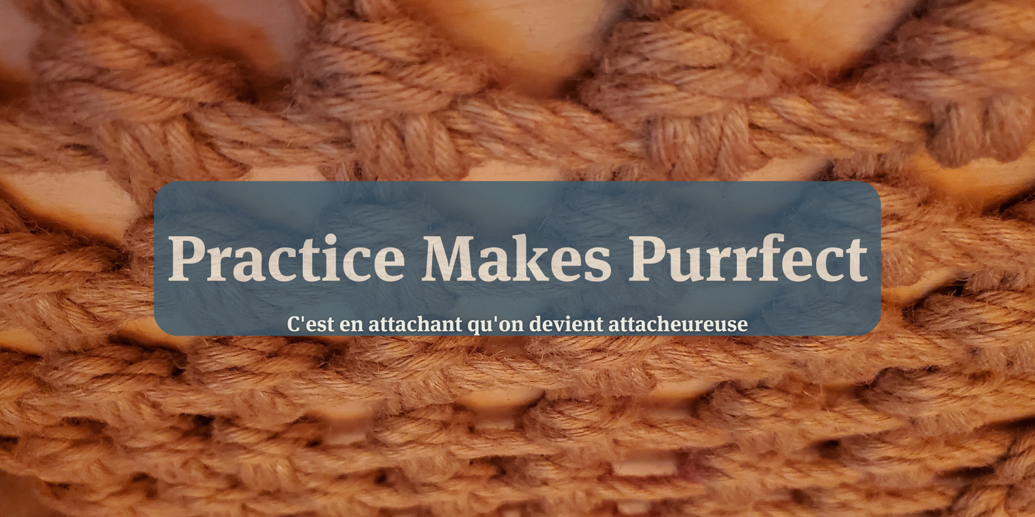 Practice makes purrfect Membership